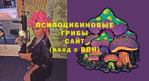 ешки Вязьма